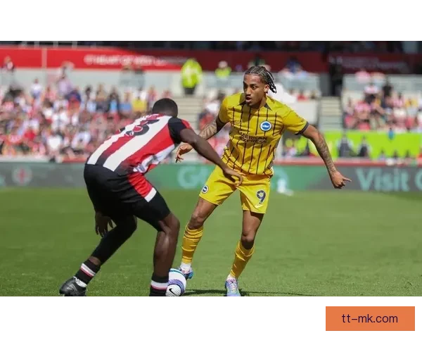 切尔西官方宣布签下18岁巴西防守中场球员加入球队